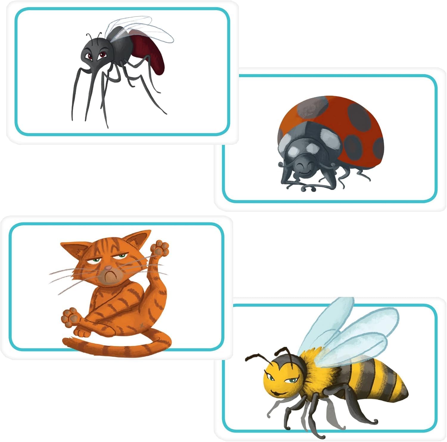 Concept Kids: Animals